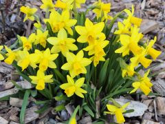 Schalterschliessungen